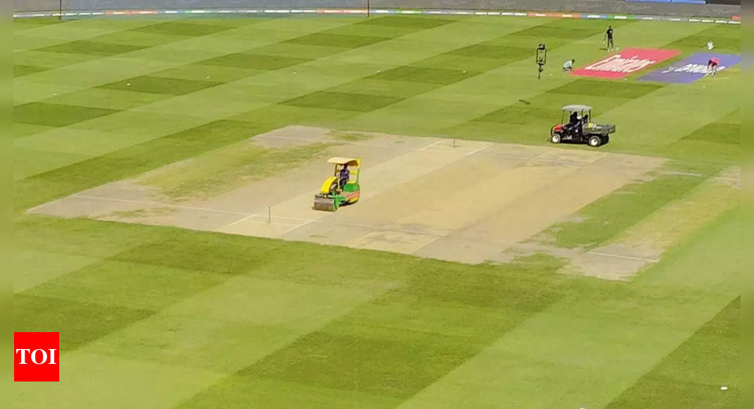 ‘Semi-fresh’ pitch for India vs New Zealand Champions Trophy final in Dubai | Cricket News