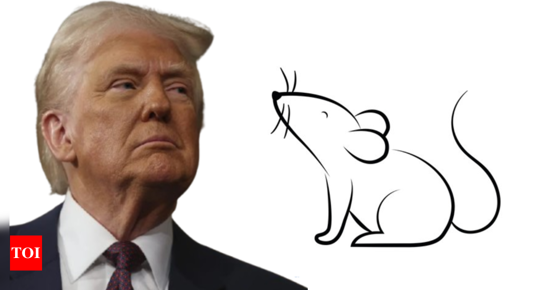 ‘$8 million for transgender mice’? Trump was right, US taxpayers really paid for it