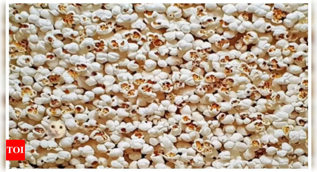 Optical illusion: Only those with a sharp vision can find the cat hiding in the popcorn in just 10 seconds