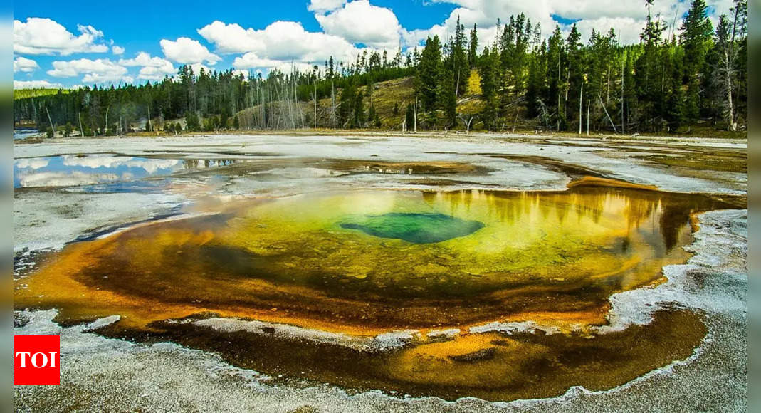 Man tries to take a ‘hot-pot’ at the Yellowstone National Park, dissolves in acidic spring, and dies