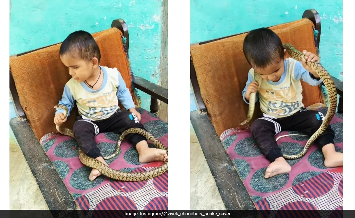 Video Of Little Boy Playing With Snake Sparks Outrage Online